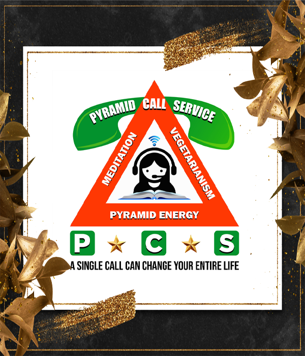 pyramid call services Logo